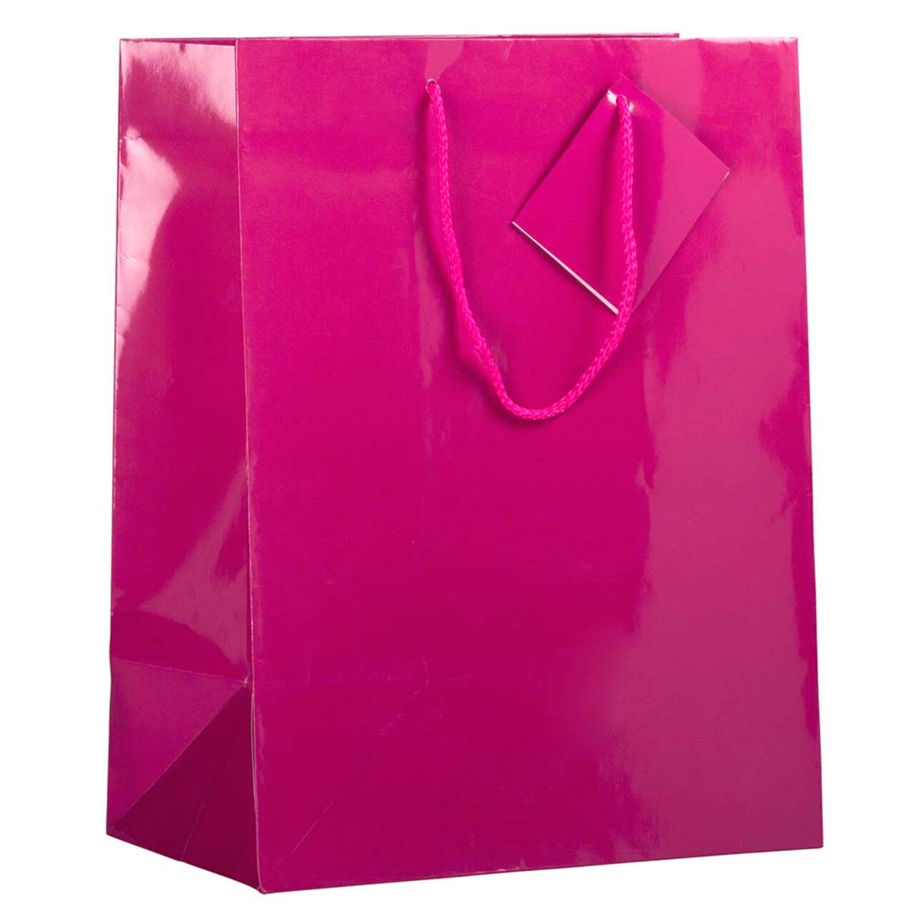 JAM Paper Large Glossy Gift Bags with Rope Handles, 3ct.